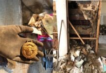 German History Teacher Finds Secret Cache of Nazi Artifacts in Family Home